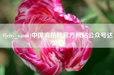 上海中国消防网官方网站公众号达伦特