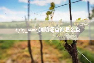 上海消防证查询怎么查
