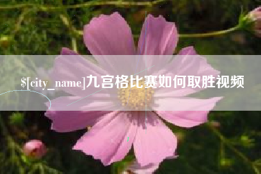 上海九宫格比赛如何取胜视频