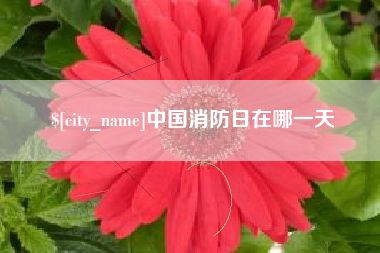 上海中国消防日在哪一天