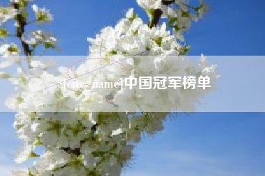 上海中国冠军榜单
