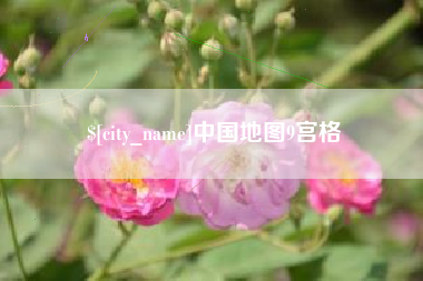 上海中国地图9宫格