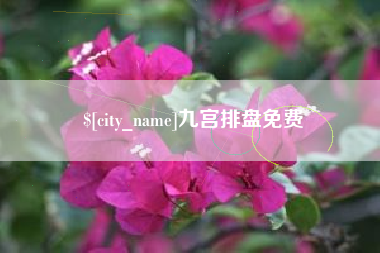上海九宫排盘免费