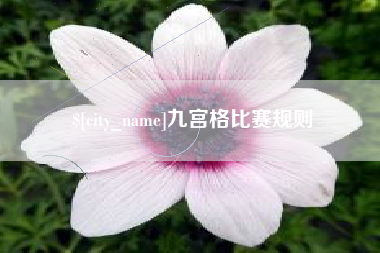 上海九宫格比赛规则