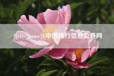 上海1.中国执行信息公开网