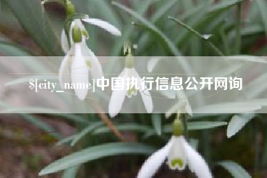 上海中国执行信息公开网询