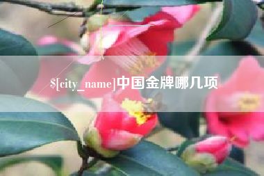 上海中国金牌哪几项