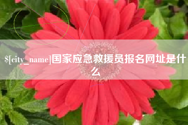 上海国家应急救援员报名网址是什么