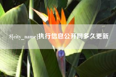 上海执行信息公开网多久更新