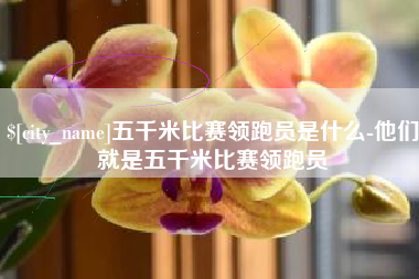 上海五千米比赛领跑员是什么-他们就是五千米比赛领跑员