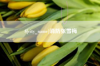 上海消防张雪梅