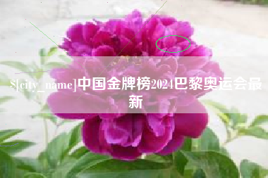 上海中国金牌榜2024巴黎奥运会最新