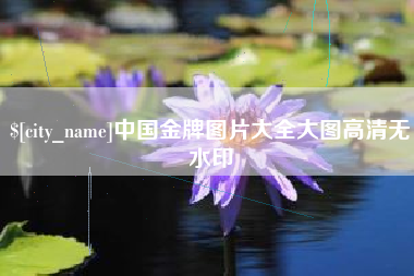 上海中国金牌图片大全大图高清无水印
