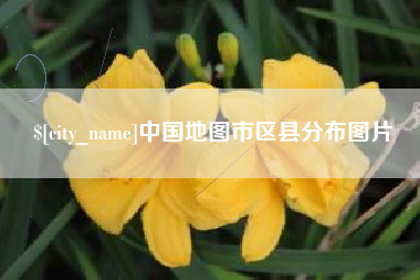 上海中国地图市区县分布图片
