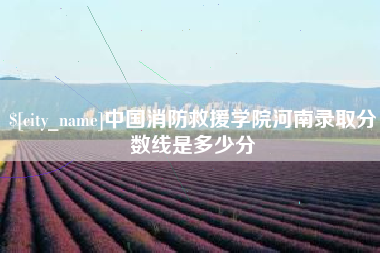 上海中国消防救援学院河南录取分数线是多少分