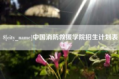 上海中国消防救援学院招生计划表