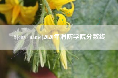 上海2020年消防学院分数线