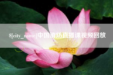 上海中国消防直播课视频回放