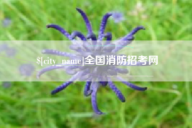 上海全国消防招考网
