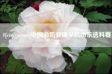 上海中国消防救援学院山东选科要求