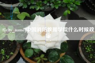 上海中国消防救援学院什么时候政审