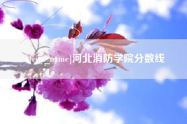 上海河北消防学院分数线