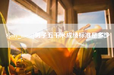 上海男子五千米成绩标准是多少