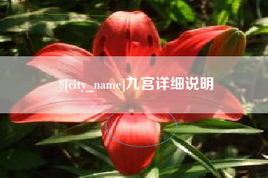 上海九宫详细说明