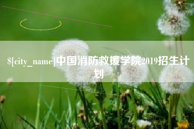 上海中国消防救援学院2019招生计划
