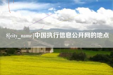 上海中国执行信息公开网的地点