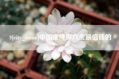 上海中国金牌哪六金最值钱的