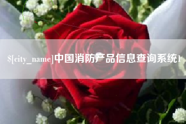 上海中国消防产品信息查询系统1