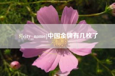 上海中国金牌有几枚了
