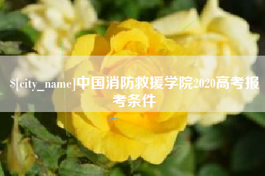 上海中国消防救援学院2020高考报考条件