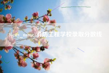 上海消防工程学校录取分数线