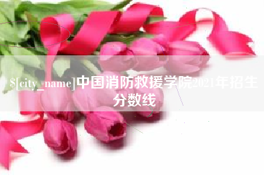 上海中国消防救援学院2021年招生分数线