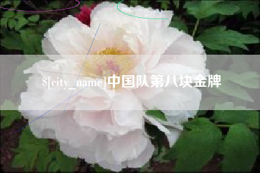 上海中国队第八块金牌