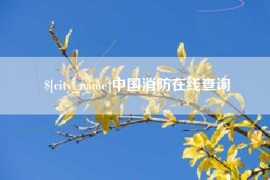 上海中国消防在线查询