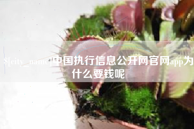 上海中国执行信息公开网官网app为什么要钱呢