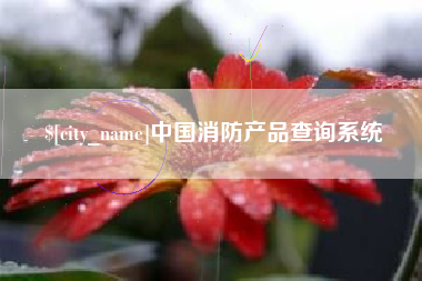 上海中国消防产品查询系统