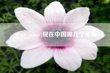 上海现在中国哪几个金牌