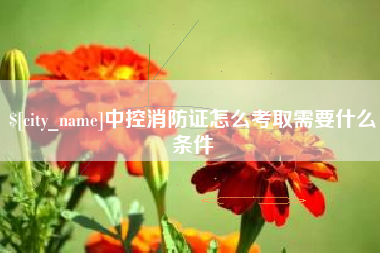 上海中控消防证怎么考取需要什么条件
