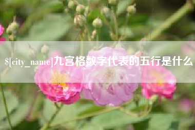 上海九宫格数字代表的五行是什么