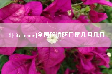 上海全国的消防日是几月几日