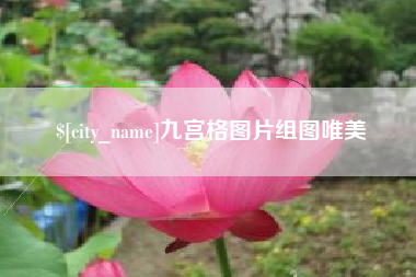 上海九宫格图片组图唯美