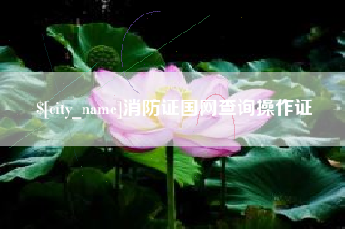 上海消防证国网查询操作证