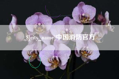 上海中国消防官方