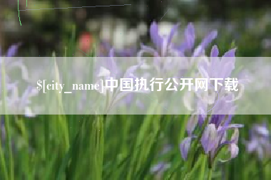 上海中国执行公开网下载