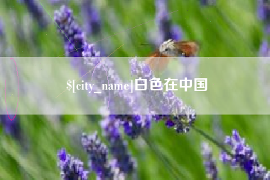 上海白色在中国