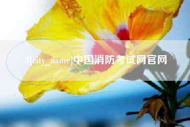 上海中国消防考试网官网